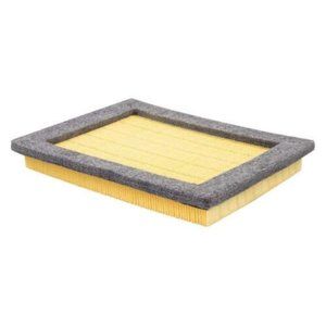 BALDWIN FILTERS PA4167 Air Filter for Equipment, 2005-2006 Expedition, etc.. NEW